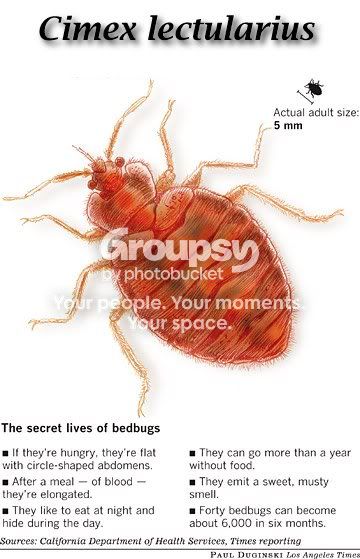 i526.photobucket.com