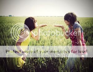 field Pictures, Images and Photos
