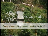 [Image: th_vlcsnap-2014-11-13-01h59m03s111_zps6de4c7ce.png]