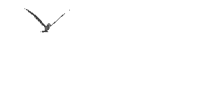 nicefun_net_poetry23.gif picture by nicefun10