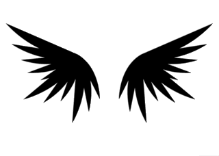 wings Pictures, Images and Photos
